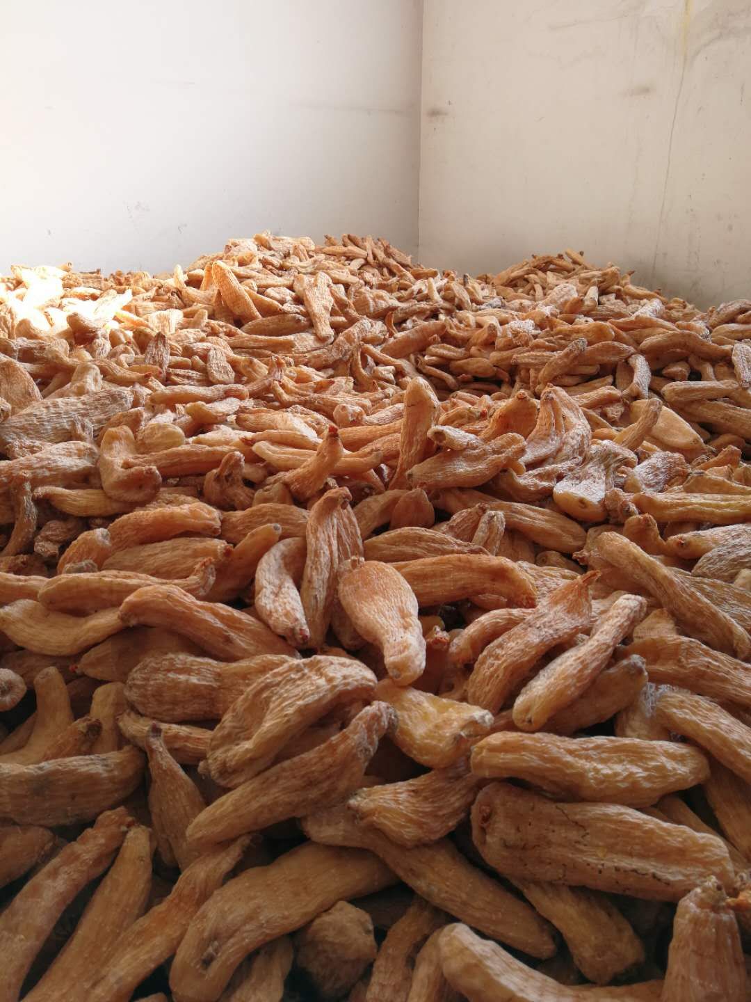 河北省美协部署2019年重点工作凝神聚力推河北美术精品“火狐电竞平台”(图2) 火狐电竞