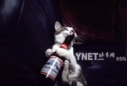 【火狐电竞平台】“降临”编剧新作!《灭绝》曝末世浩劫海报(图2) 火狐电竞官网