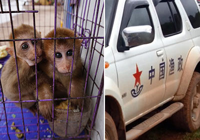 《谁都渴望遇见你》本周更新 刘哲尔化身恋爱僚机|火狐电竞(图3) 火狐电竞平台