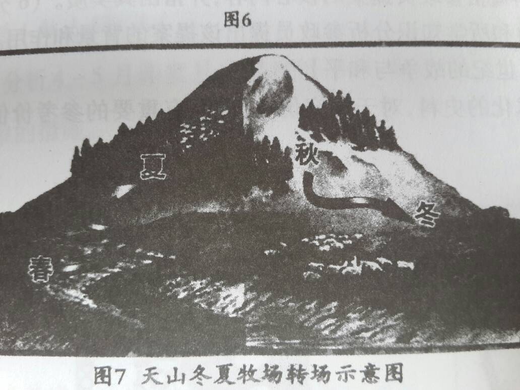 【火狐电竞官网】《活宝》一言不合就搞笑 黄奕-陈籽熹卖萌大PK(图1) 火狐电竞