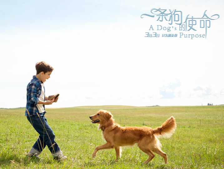 《吓一秒恋人》4月28日上映,演绎跨越时空的奇幻爱情!:火狐电竞平台(图2) 火狐电竞平台