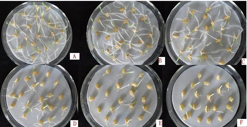 宫颈糜烂拖着不治疗小心癌变 宫颈癌三类症状揭晓|火狐电竞平台(图1) 火狐电竞