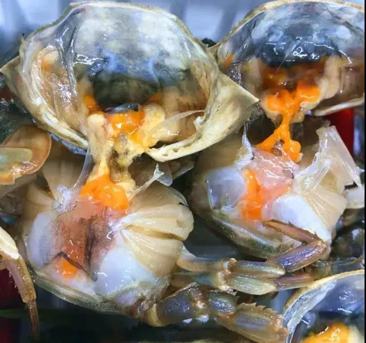 王艺衡新综艺《小哥哥的咖啡店》上线 暖心一横与你“初遇”冬天【火狐电竞官网】(图1) 火狐电竞