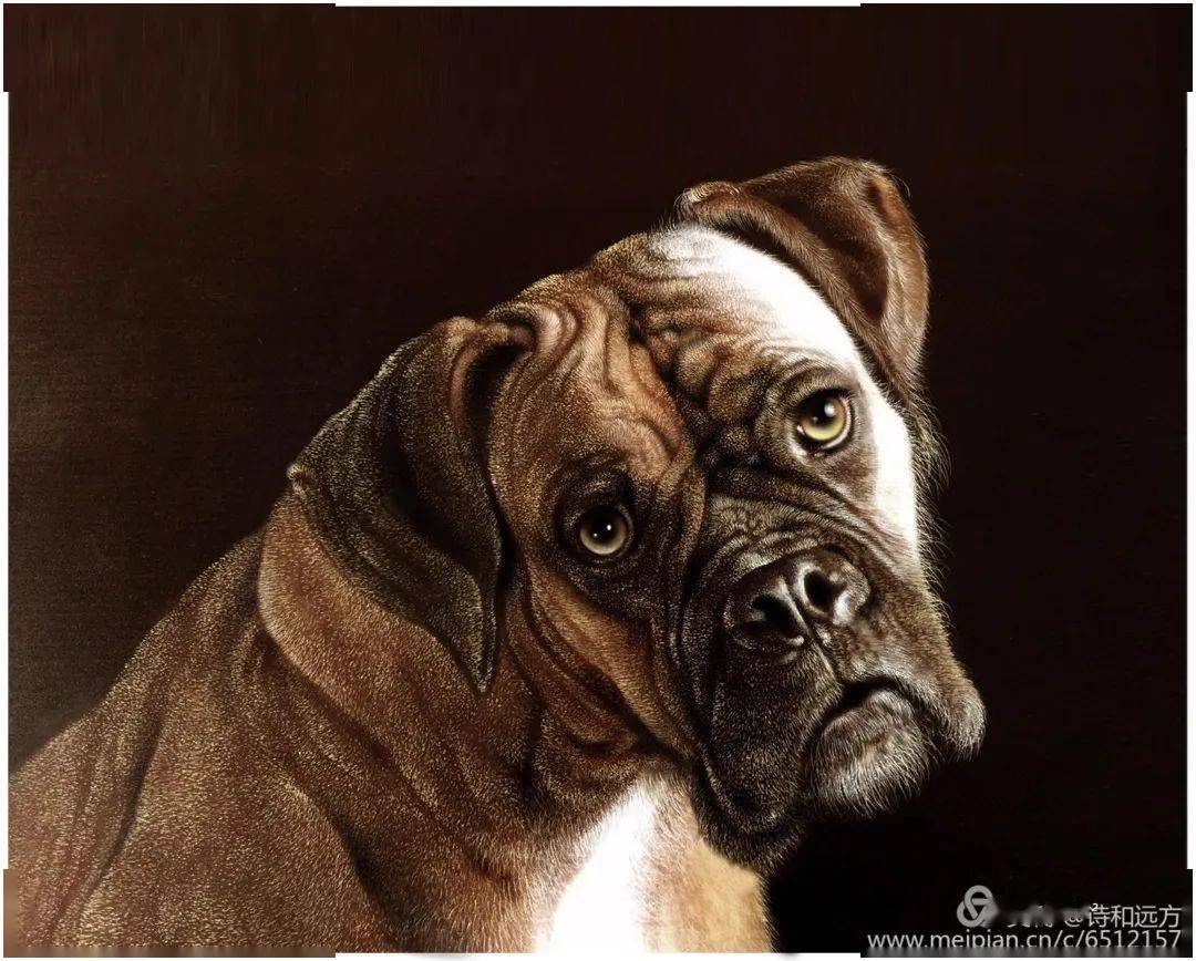 火狐电竞-
2021年第七届公益烙画艺术作品展已启动(图7)