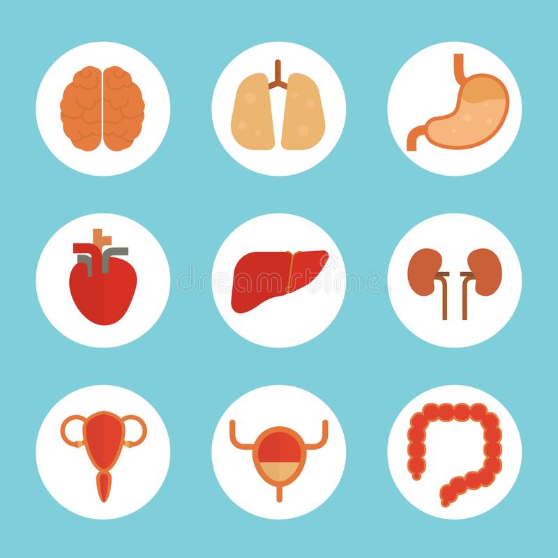 火狐电竞官网_我不是药神上演最大胆抄袭,网友抄得这么直接当粉丝眼瞎(图3) 火狐电竞平台